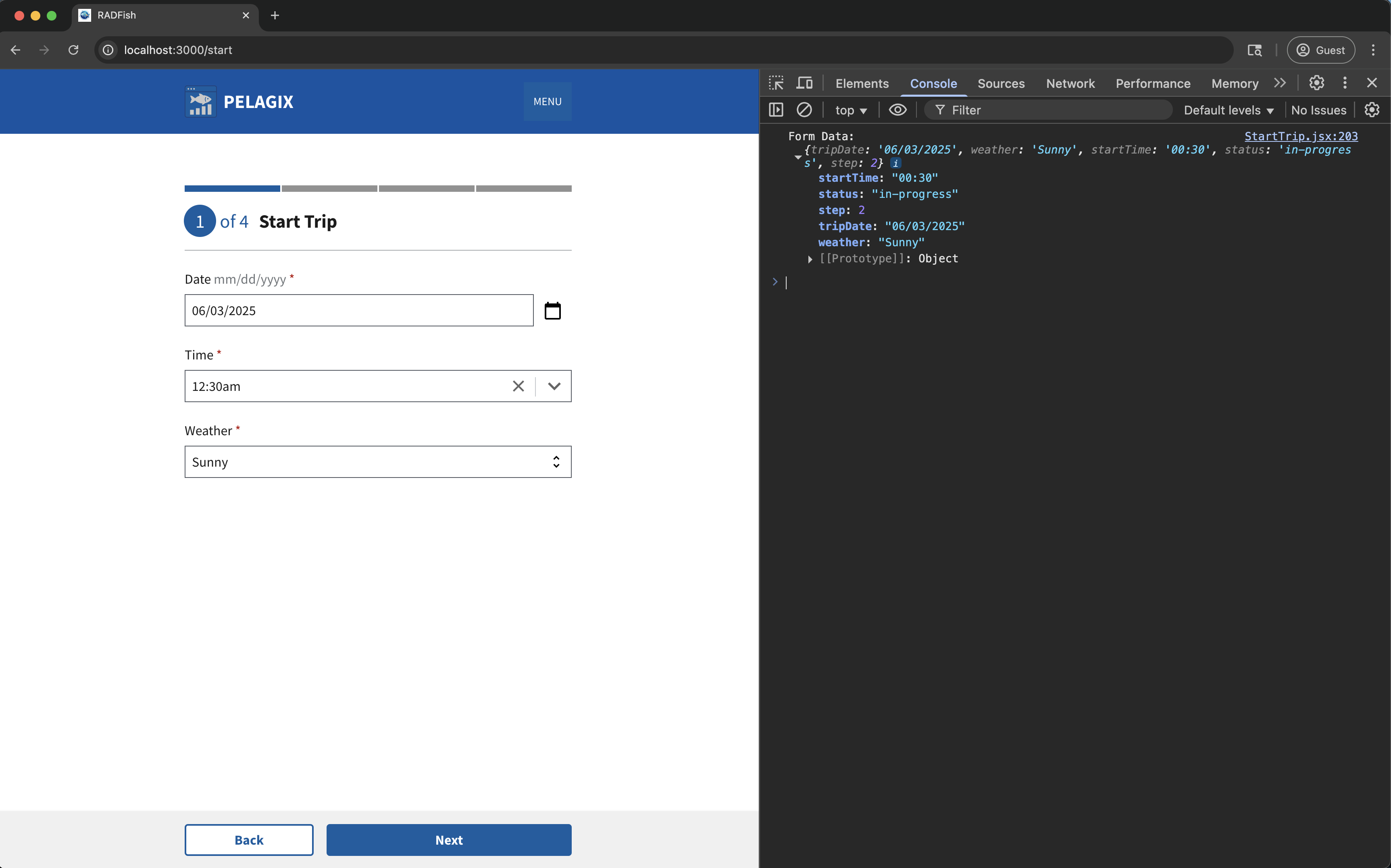 Form Data Console Output
