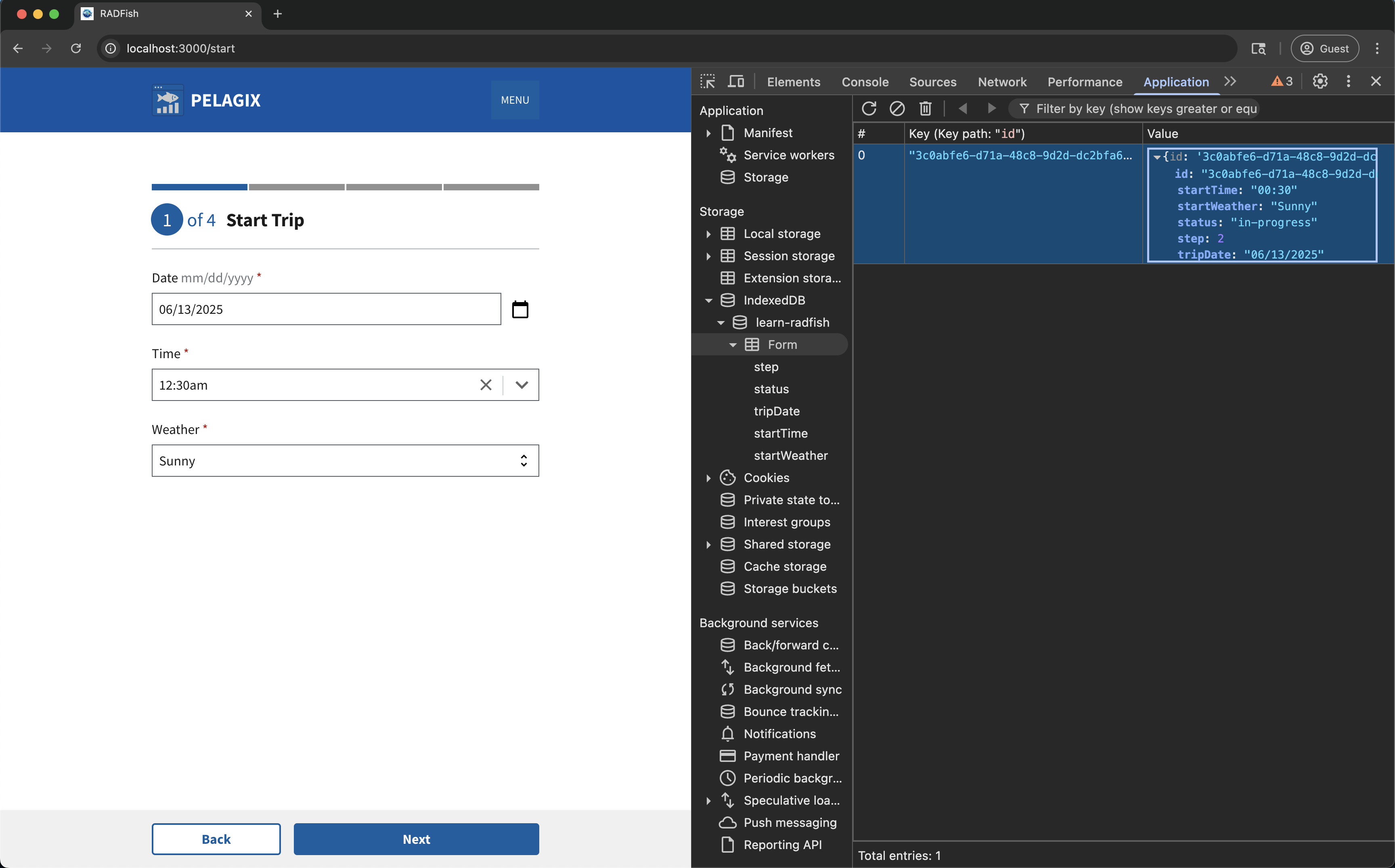 IndexedDB Inspection